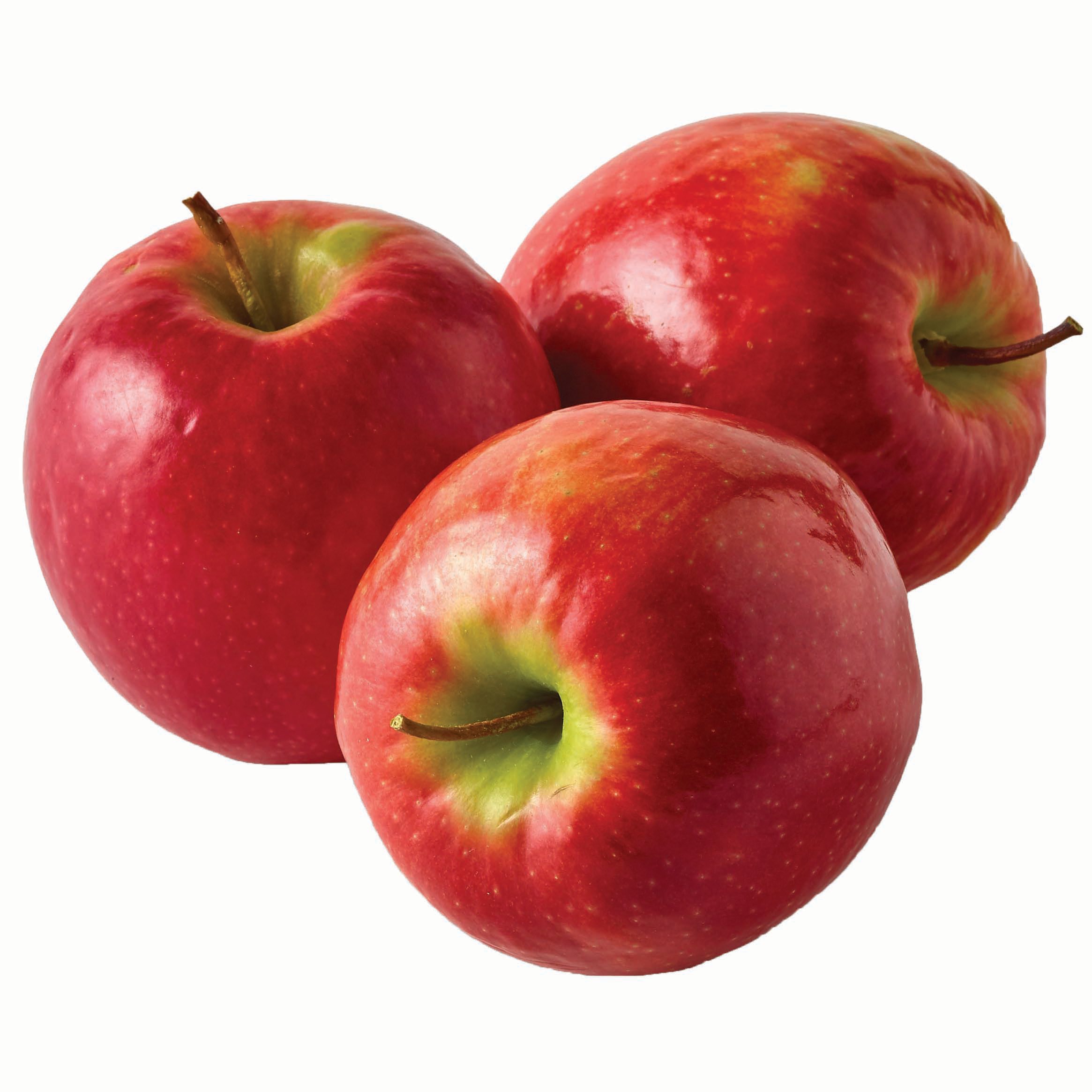 Яблоко съедобная. Яблоки Джонагоред. Яблоко Маджести. Яблоки красные. Яблоки красные желтые зеленые.