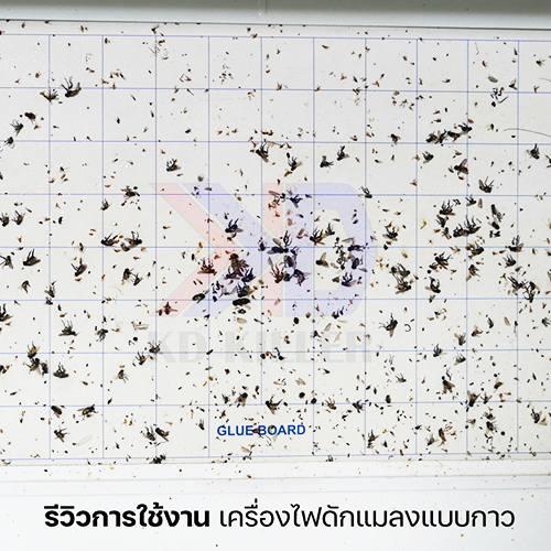 แผ่นกาวดักแมลงคุณภาพสูง สำหรับเครื่องไฟดักแมลง มาตรฐาน Food Grade พร้อมเอกสาร MSDS รองรับโรงงานอุตสาหกรรม